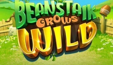 Beanstalk Grows Wild